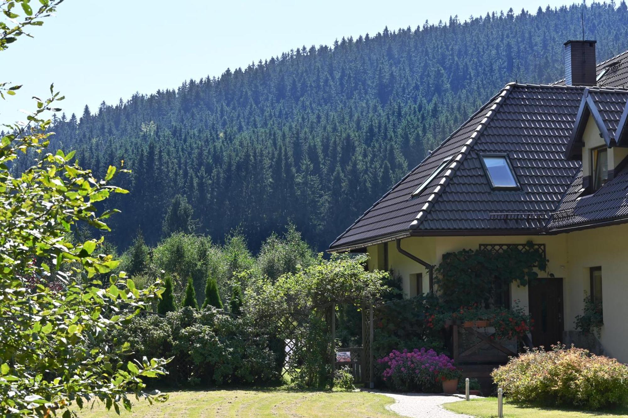 Wichrowe Wzgorze Villa Stronie Śląskie Exteriör bild