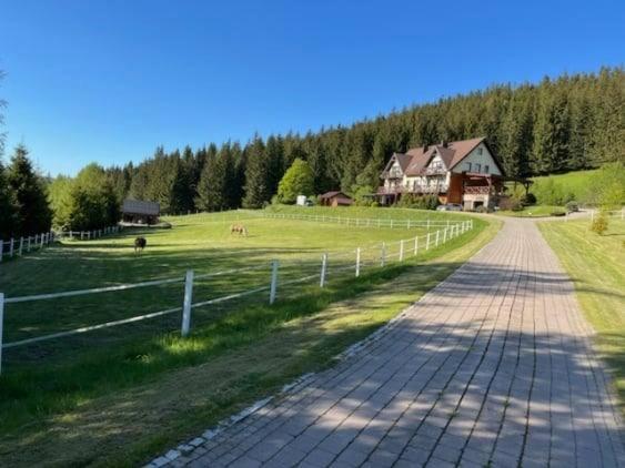 Wichrowe Wzgorze Villa Stronie Śląskie Exteriör bild