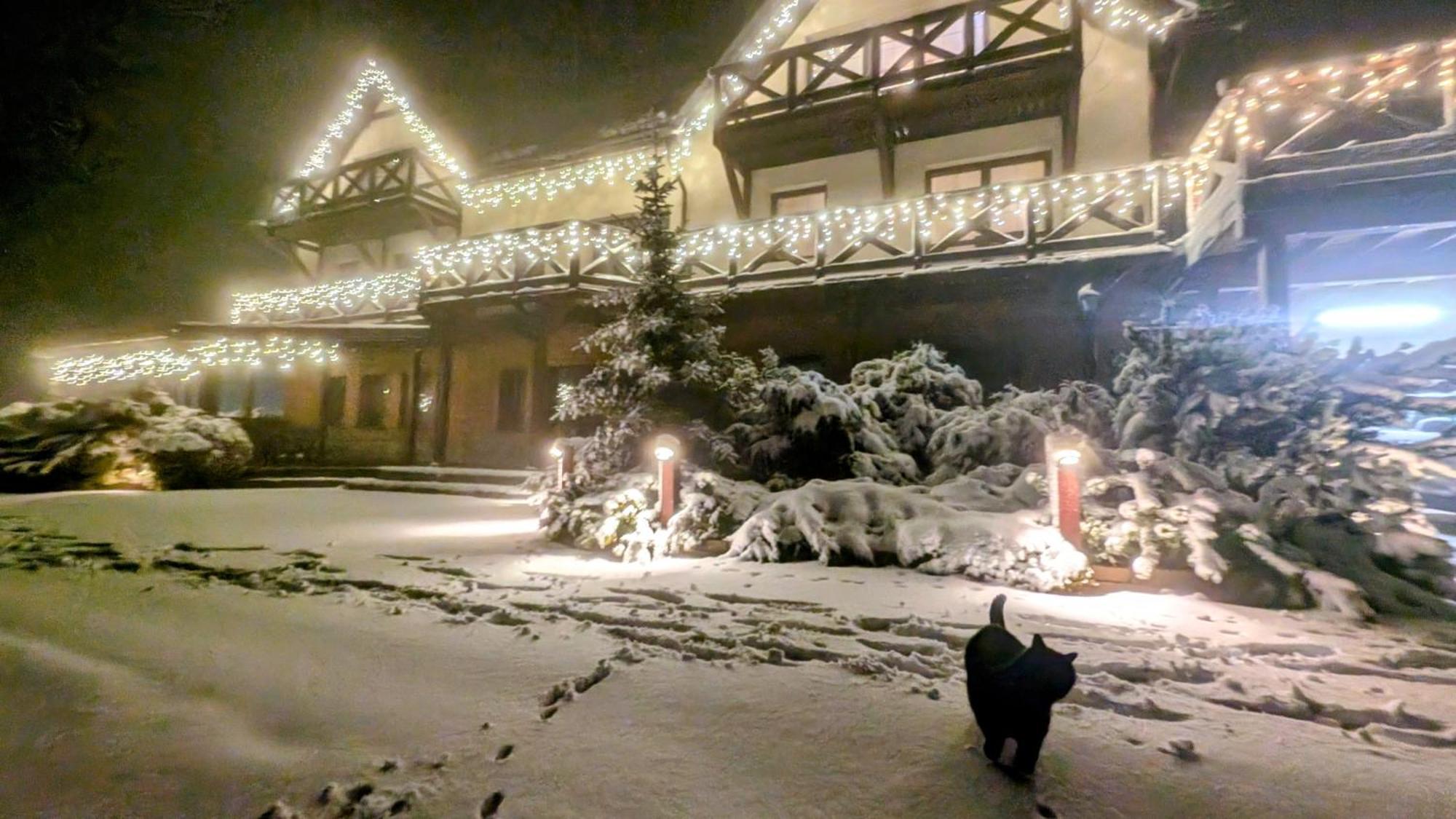 Wichrowe Wzgorze Villa Stronie Śląskie Exteriör bild